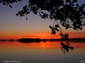 017DSCN2817