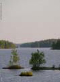 039DSCN2881