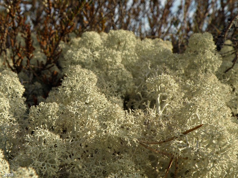 0307P5280221
