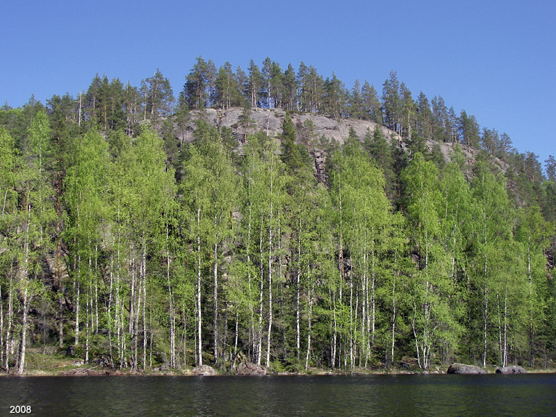 0309IMGP0143