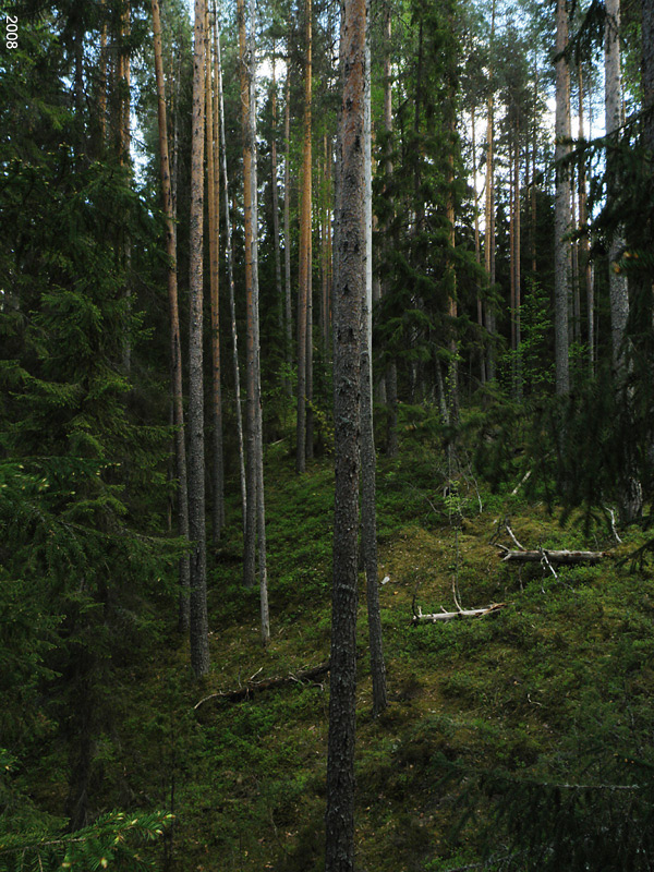 0507P5300354