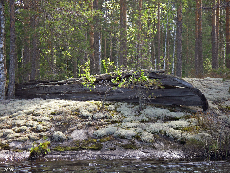 0601IMGP0253