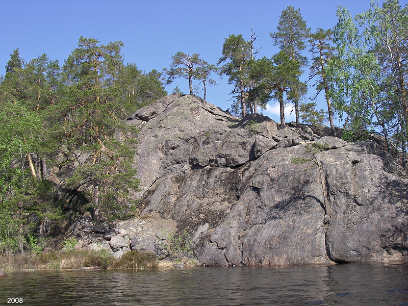 1003IMGP0390