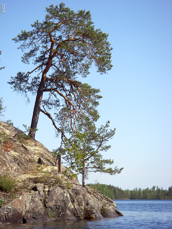 1009IMGP0413