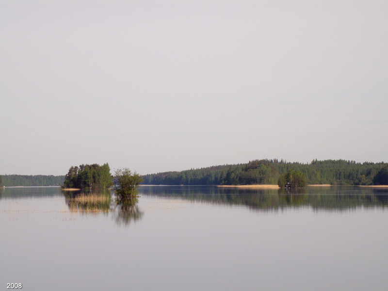 1101P6050705