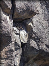0403IMGP0179