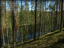 0502P5300339