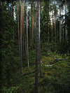 0507P5300354