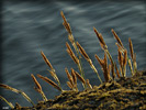 0510P5300382