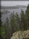0805P6020568