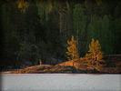 0909P6030648