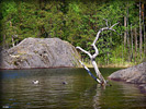 1002IMGP0388