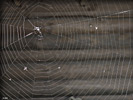 1005P6040669
