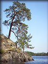 1009IMGP0413
