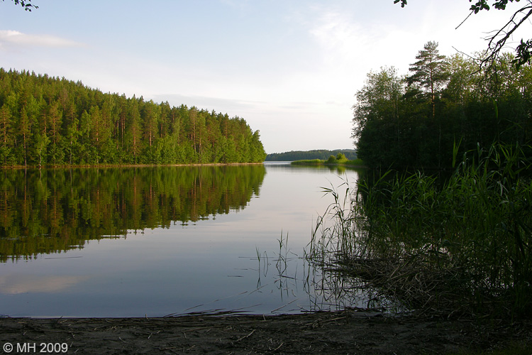 038DSCN7081