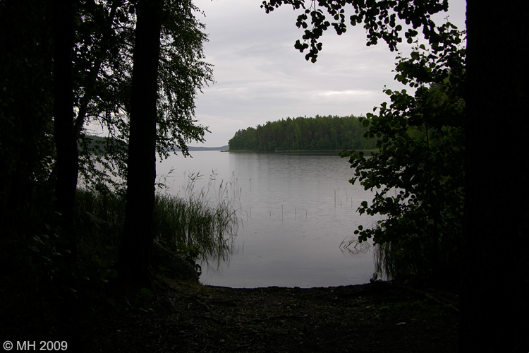 083DSCN7311