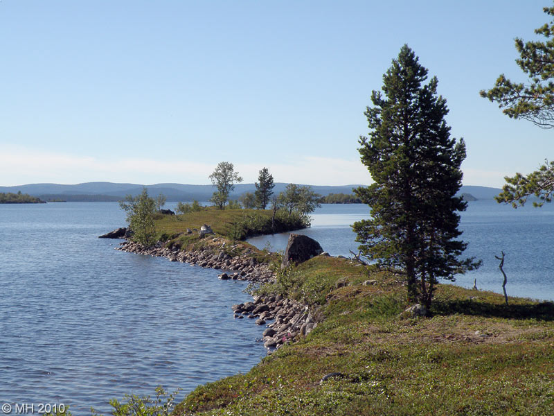 29-P8061362