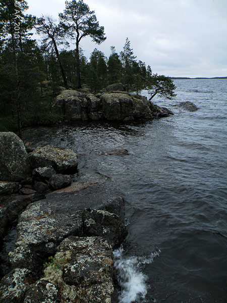 39-P8091588