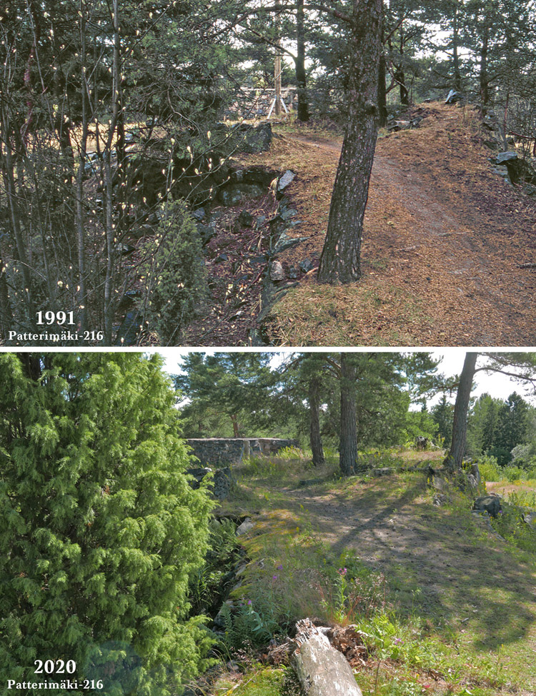 Patterimaki-216