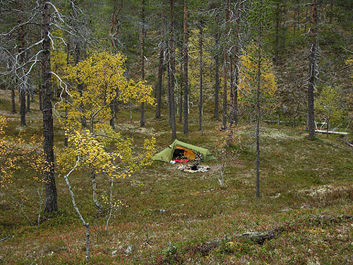 Hirvas-Niilalla-2004