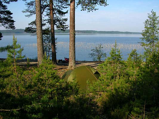 Iso-Kankaisella-Pihla#AFF13