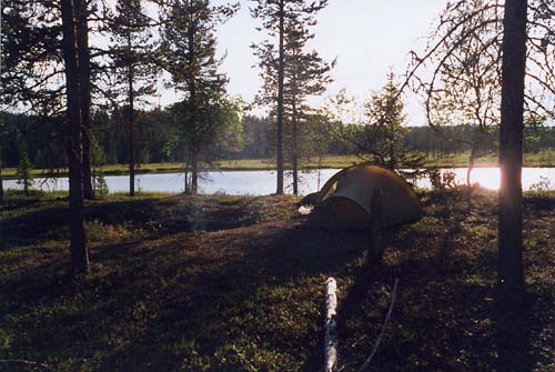 Kaptukaislammet-2000