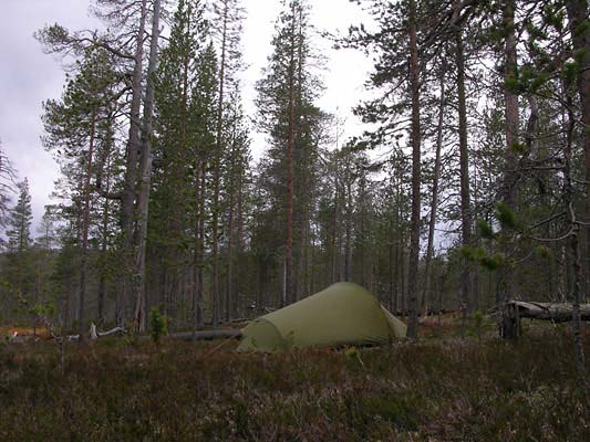 Kivipaanoja-Saariselka-2005