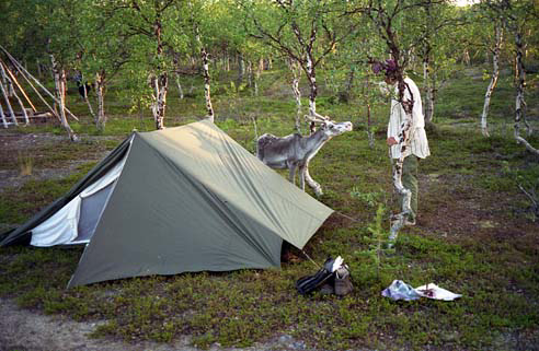 Peltojaarvi-Muotka-1996