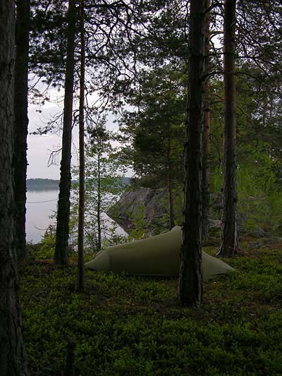 Pihlajavesi-Juuvinsaa#AFF33