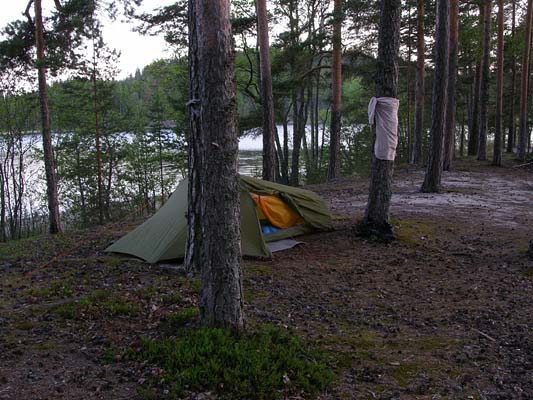 Raintasaari-Luonteri-2006