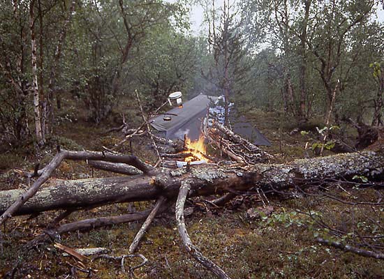 Ryynajarvenoja-Muotka-1983