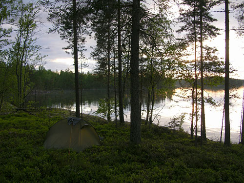 Sikosaari_Puula_2007