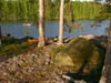 Kukonahonselka_Suontee_2007