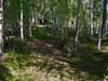 Vavesaari_Kyyvesi_2007