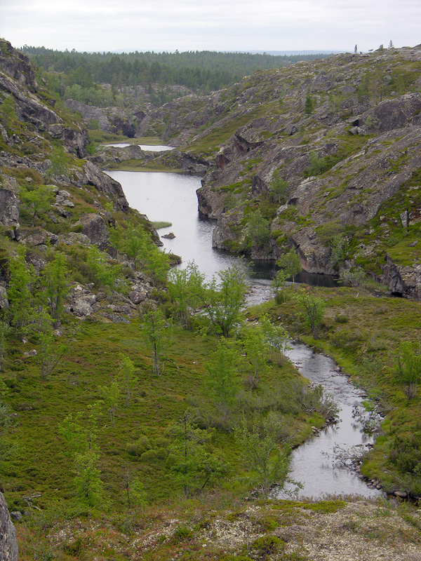 DSCN1485