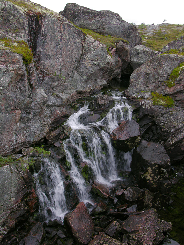 DSCN1486