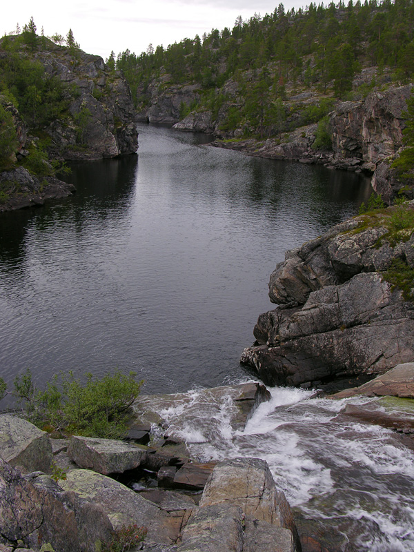 DSCN1547
