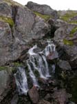 DSCN1486