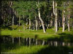 DSCN0887