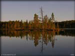 DSCN0902