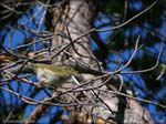 DSCN0905