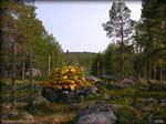 DSCN0932