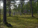 DSCN0984