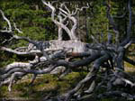 DSCN1036