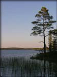DSCN1077