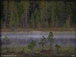 DSCN1082