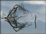 DSCN1103