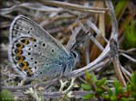 DSCN1258