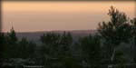 DSCN1411