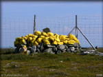 DSCN1435